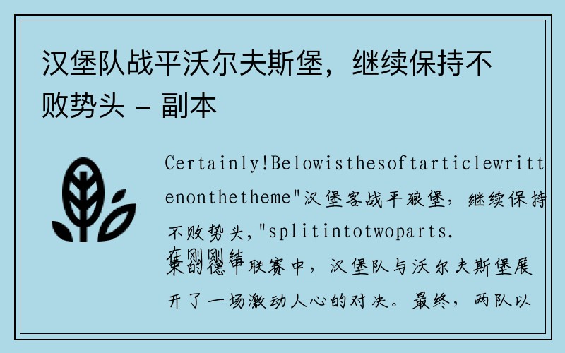 汉堡队战平沃尔夫斯堡，继续保持不败势头 - 副本